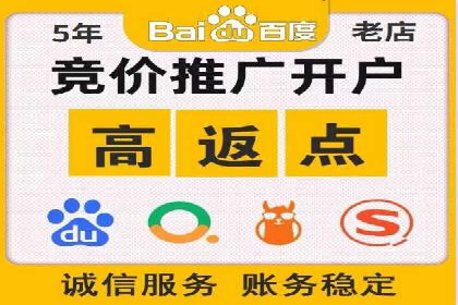百度推广代运营案例：案例分享：打造行业领军品牌